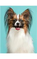 Papillon Notebook: 8.5 x 11, College Ruled, 150 Pages for Elementary, Primary, Middle, High School or University For Butterfly Dog Fans