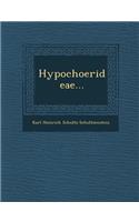 Hypochoerideae...