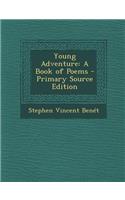 Young Adventure: A Book of Poems(English)
