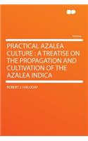 Practical Azalea Culture