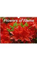 Flowers of Flame 2017: Images of Magnificent Azalea and Rhododendron Flowers(Calvendo Nature)