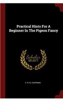 Practical Hints for a Beginner in the Pigeon Fancy