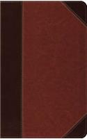 ESV Thinline Reference Bible (Trutone, Brown/Cordovan, Portfolio Design)