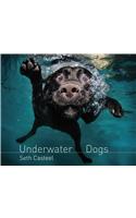 Underwater Dogs