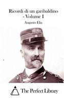 Ricordi di un garibaldino - Volume I