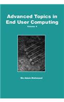 Advanced Topics in End User Computing, Volume 4