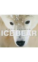 Ice Bear