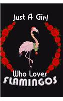 Just A Girl Who Loves FLAMINGOS
