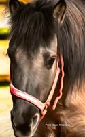 Pony Horse Notebook: A5 Lined Notepad - Journal for Women, Men, Teens and Kids. A Beautiful Gift Idea for Animal Lover