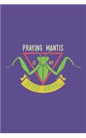 Praying mantis is my spirit animal