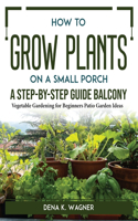 How to Grow Plants on a Small Porch A Step-by-Step Guide Balcony