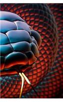 Snake Notebook