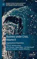 Business Under Crisis, Volume II