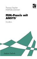 FEM-Praxis mit ANSYS®: Grundkurs(German)