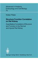 Structure Function Correlation on Rat Kidney