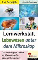 Lernwerkstatt Lebewesen unter dem Mikroskop: Leben im Wassertropfen