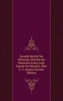 Synodal-Bericht Des Wisconsin-Distrikts Der Deutschen Evang-Luth. Synode Von Missouri, Ohio U. A. Staaten (German Edition)