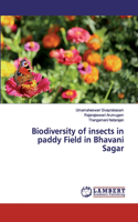 Biodiversity of insects in paddy Field in Bhavani Sagar