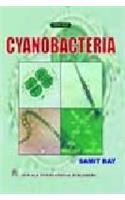 Cyanobacteria