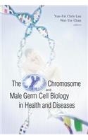 Y Chromosome and Male Germ Cell Biology in Health and Diseases