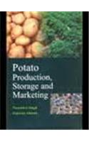 Potato Production, Storage And Marketing