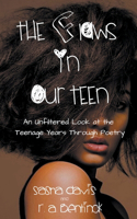 Flaws in Our Teen