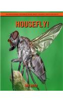 Housefly! An Educational Children's Book about Housefly with Fun Facts