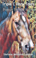 Triple C Pony Tales