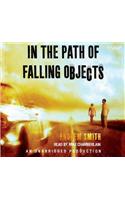 In the Path of Falling Objects