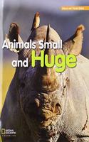ROYO READERS LEVEL B ANIMALS S MALL AND HUGE