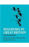 Wildfowl in Great Britain