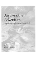 Just Another Adventure