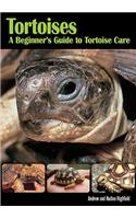 Tortoises