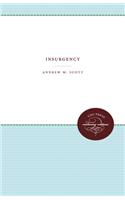 Insurgency