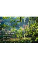 Chanticleer