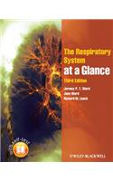 The Respiratory System at a Glance