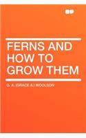 Ferns and How to Grow Them