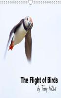 Flight of Birds by Tony Mills 2018