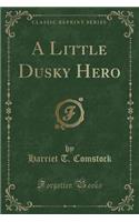 A Little Dusky Hero (Classic Reprint)