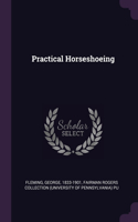 Practical Horseshoeing