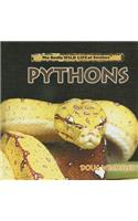Pythons