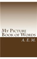 My Picture Book of Words