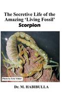 The Secretive Life of the Amazing 'Living Fossil' Scorpion