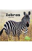 Zebras