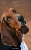 Basset Hound: Artified Pets Journal/Notebook/Diary 160 Pages