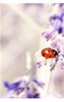 Cute Ladybug on a Flower Journal: 150 Page Lined Notebook/Diary