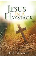 Jesus In A Haystack