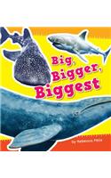 Big, Bigger, Biggest