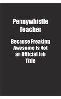 Pennywhistle Teacher Because Freaking Awesome Is Not an Official Job Title.