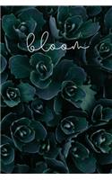 Bloom
